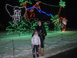 Zoolights