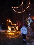 Zoolights