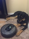 ������ ���������� �������