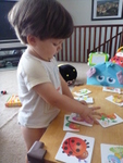 ����� �������� puzzle