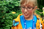 Butterfly Conservatory