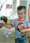 Bird Kingdom