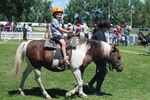 Spruce Meadows