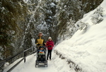 Johnston Canyon