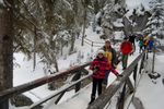 Johnston Canyon