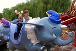 ������ �� ����� Dumbo