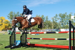 Spruce Meadows