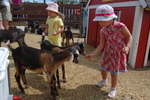Butterfield Acres