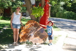 Kangaroo Creek Farm