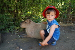 Kangaroo Creek Farm