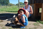 Kangaroo Creek Farm