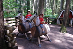 Enchanted Forest