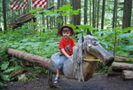 Enchanted Forest