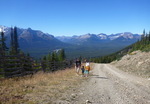 Lake Louise Pika Trail