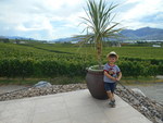 Adega Estate Winery