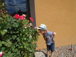 Adega Estate Winery