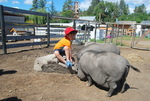 Swiller's Pond Farm