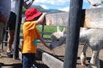 Swiller's Pond Farm