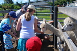 Swiller's Pond Farm