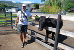 Swiller's Pond Farm