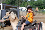Swiller's Pond Farm