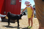 Butterfield Acres