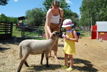Butterfield Acres