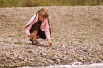 ������ �������� � ���� Fish Creek. 
������ ������ ������� � ����...