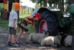 Butterfield Acres Farm