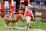 Butterfield Acres Farm