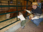 Calgary Stampede