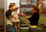 Calgary Stampede