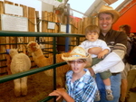 Calgary Stampede