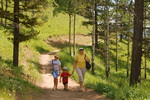 Fullerton Loop