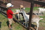 Butterfield acres