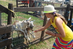 Butterfield acres