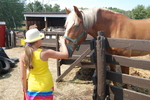 Butterfield acres