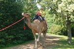 Toronto Zoo