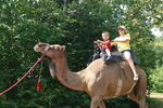 Toronto Zoo