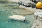 Toronto Zoo