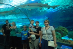 Ripley's Aquarium