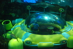 Ripley's Aquarium (��� ����� � ���������)