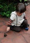 Butterfly Gardens
