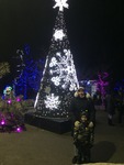 Zoolights