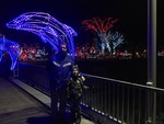 Zoolights