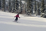 Kicking Horse