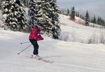 Kicking Horse