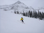 Fernie