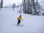 Fernie
